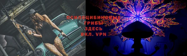 синтетический гашиш Богородск